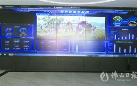 佛山帮扶凉山越西县——嫁接5G技术结出“致富果”