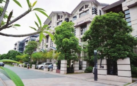 里水积极建设大湾区直播供应链基地，赋能乡村振兴