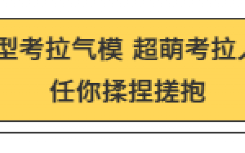 高萌预警！！！10.31让人心心念念的考拉乐园终于要来了