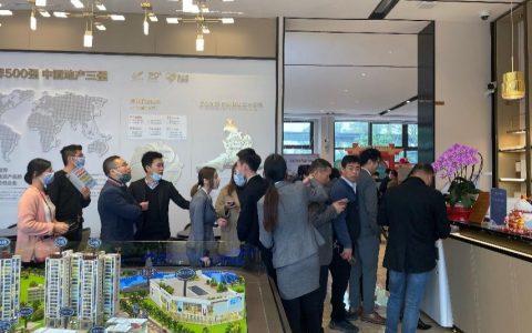 超千人到访！高明碧桂园·花城荟3月6日盛大认筹，无愧国潮网红盘