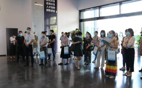 从“洼地”到“高地”的逆袭 三龙湾南海片区崛起的“秘诀”