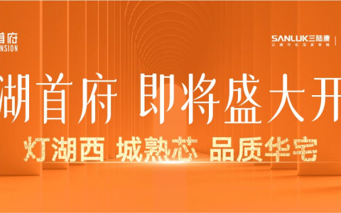 不负一城期待，灯湖首府示范区开放暨世界美食节启幕，为高品质人居而来