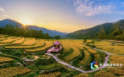 免费畅游！2023高明我最IN·城市打卡邀请令即日起报名