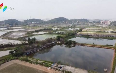 坐标白坭！佛山首宗区级组织网上竞投集约零散土地项目成功签约