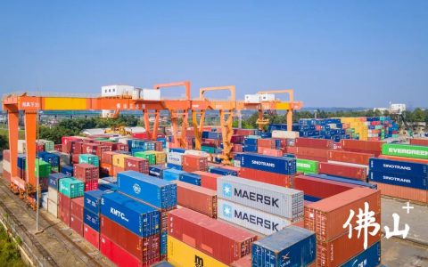日均吞吐量增长约7%，三水这个唯一外贸港口很忙！