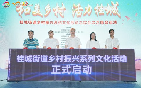 和美乡村，活力桂城！桂城乡村振兴系列文化活动正式启动