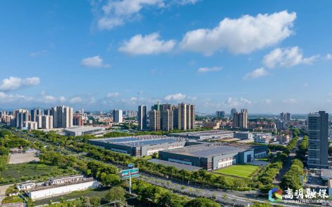 从“制造”到“智造”，高明制造业“老树发新枝”