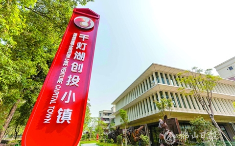开园1周年，千灯湖创投小镇举办投融资云对接会