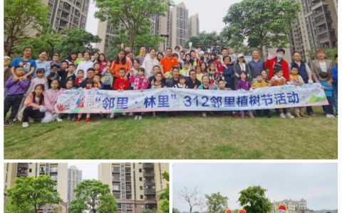 手植一抹新绿 予您春色满园