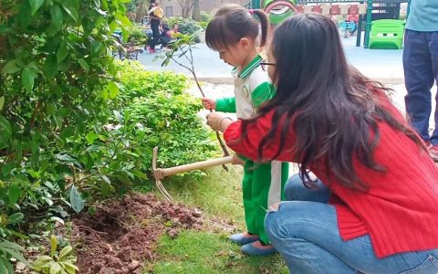 最是一年春光好，龙光社区植树添绿正当时