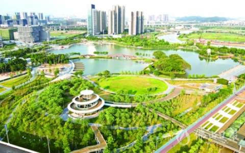 “超级街道”桂城缘何再获全国关注？