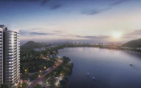 爆过景点？元旦首日，这个金沙洲湖景神盘被抢着参观！