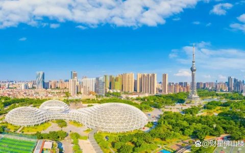 省级官宣!佛山又有大动作!涉及新机场、产业等...