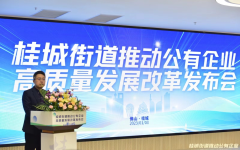 新年“第一会”聚焦改革：桂城力争公有企业5年资产总额超300亿元