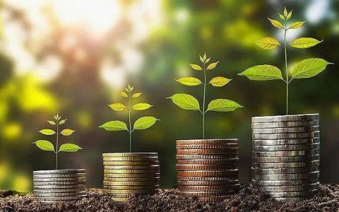 2022年度绿色金融行业发展报告:构筑双碳战略的金融基石