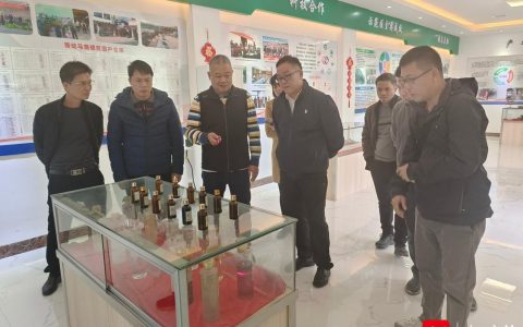 探索五和肉桂产业发展之路 五和镇考察组到广西开展实地考察学习活动