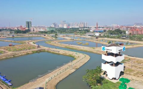 计划投资金额逾70亿元！禅城将建现代都市农业示范区