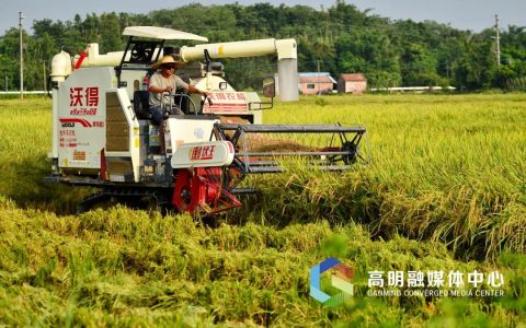 2021-2030年，高明高标准农田这样建设