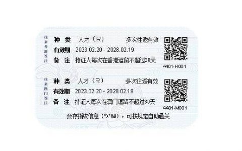 20日起粤港澳大湾区内地城市试点实施往来港澳人才签注政策