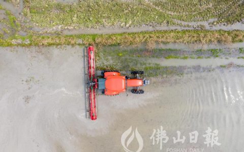 智能化设备“下田”，高明种粮大户的备耕科技范十足