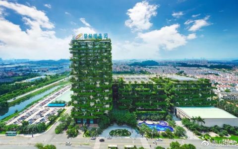 碧桂园被冻结3.8亿：佛山房地产未来该如何走向？