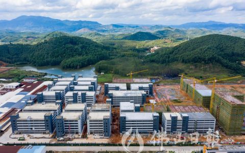 助力高明打造中国式现代化县域样本，荷城开展“五大行动”扛起担当！