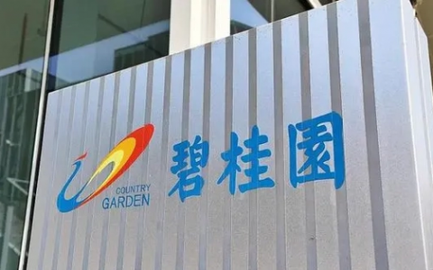 财经观察：杨惠妍，能否重振碧桂园？