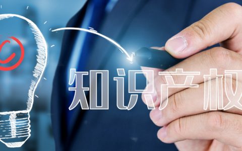 海外知识产权主题沙龙：助力顺德企业迈步“出海”