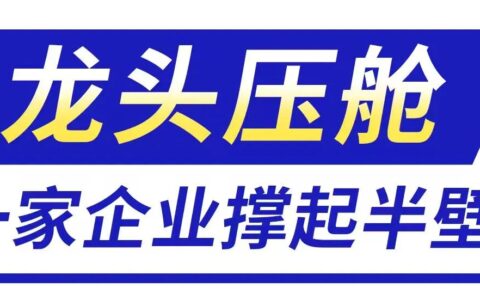 55份半年报里的佛山：谁在领跑，谁在换道，谁在承压？