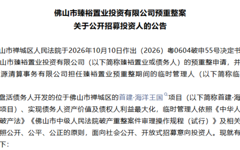 预重整申请！祖庙首建·海洋王国开发商公开招募投资人